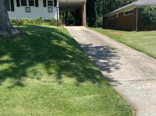 Jackie R.'s turf maintenance service result