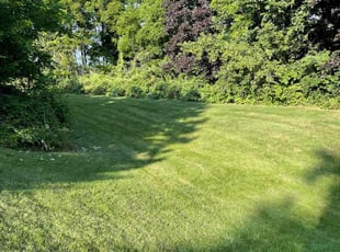 Chris M.'s grass maintenance service result