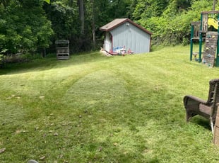 Deborah L.'s grass maintenance service result