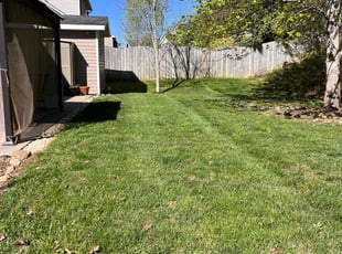 Brittney B.'s lawn maintenance service result