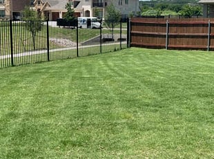Nancy M.'s lawn care service result