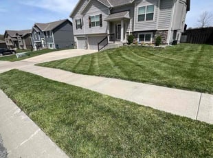 Brietta W.'s lawn care services service result