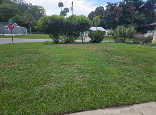 Gladys C.'s turf care service result