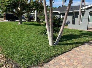 Nancy M.'s yard service service result