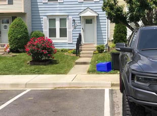 Amber E.'s lawn care service result
