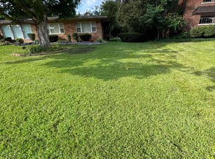 Faustina J.'s yard maintenance service result