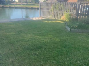 Sonya L.'s lawn care service result