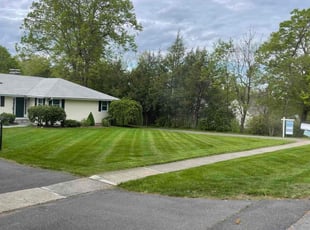 Dennis M.'s turf maintenance service result