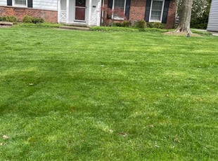 Donald C.'s landscaping services service result