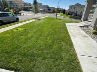 Ryan B.'s lawn care service result