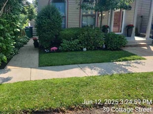 Amy R.'s turf care service result