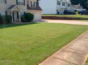 Tracy D.'s lawn maintenance service result