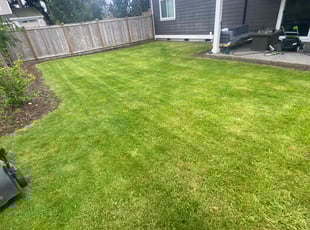 Harley C.'s lawn care services service result