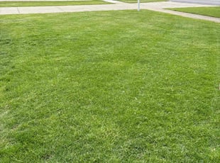 Berlinda P.'s lawn maintenance service result
