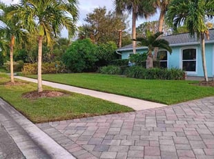 Skip H.'s grass maintenance service result