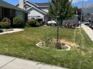 Rebecca H.'s lawn care service result