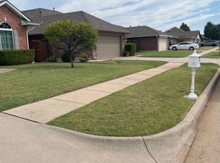 Donna B.'s grass maintenance service result