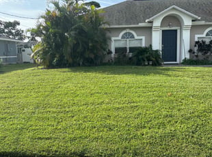 Xena B.'s grass maintenance service result