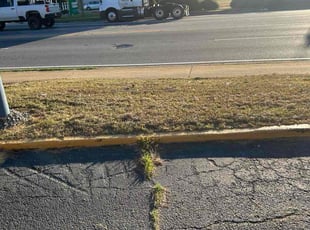 Tyler H.'s lawn maintenance service result