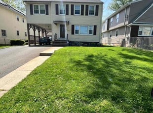 Nidia D.'s grass maintenance service result