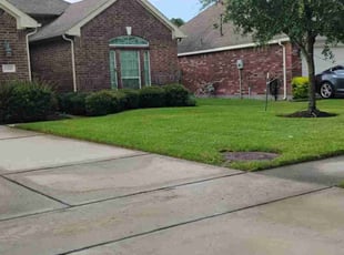 Mike R.'s lawn service service result