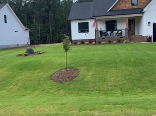 Riffy H.'s turf care service result