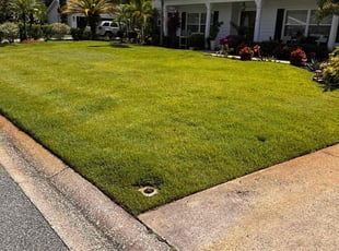Alexandria H.'s turf care service result