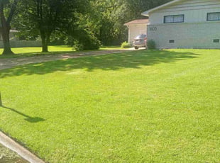 Lizzie T.'s grass maintenance service result
