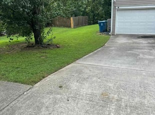 Anthony B.'s lawn care service result