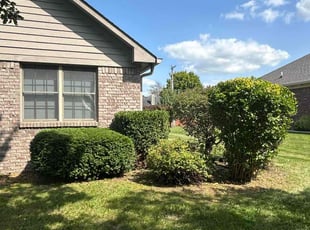 Francisco F.'s Bush Trimming service result