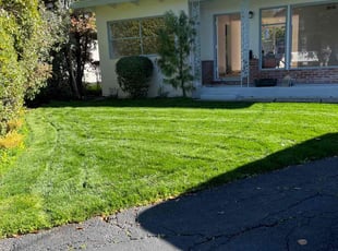 Cameron I.'s lawn care services service result