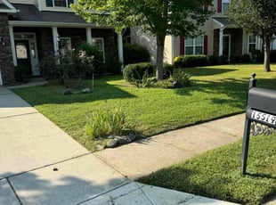 Nate J.'s yard care service result