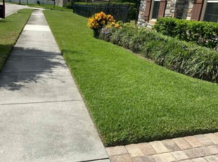 Chirag P.'s lawn maintenance service result