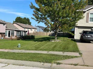 David W.'s lawn care service result
