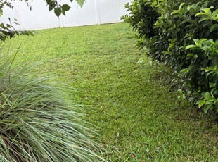 Cynthia D.'s lawn care services service result