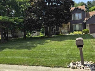 Syed R.'s turf care service result