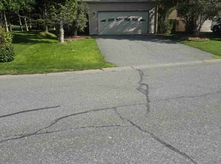 Jacqueline F.'s turf maintenance service result