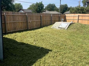 Michelle I.'s lawn care service result
