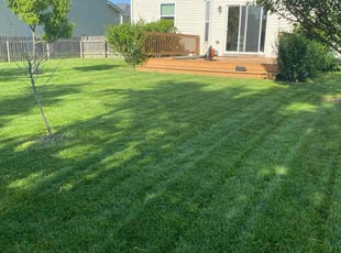 Jacqueline B.'s lawn maintenance service result