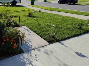 Fallon F.'s lawn service service result