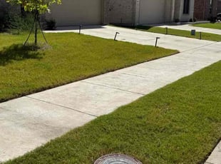 Simone H.'s turf maintenance service result