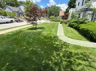 Harvey S.'s turf maintenance service result