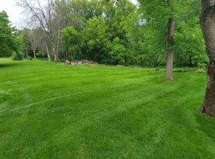 Lou C.'s grass maintenance service result