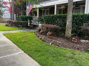 Jenny P.'s Bush Trimming service result