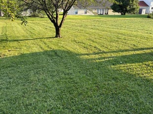 Jason G.'s gardening service service result