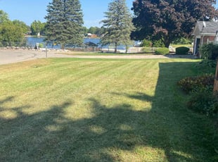 Terrence W.'s lawn maintenance service result