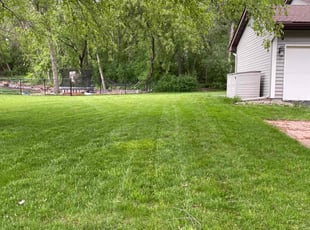 Dana D.'s turf care service result