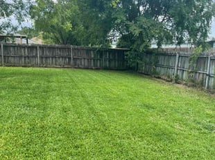 Lynn M.'s grass maintenance service result