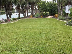 DENISE H.'s grass cutting service result