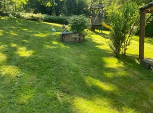 Mike S.'s grass cutting service result